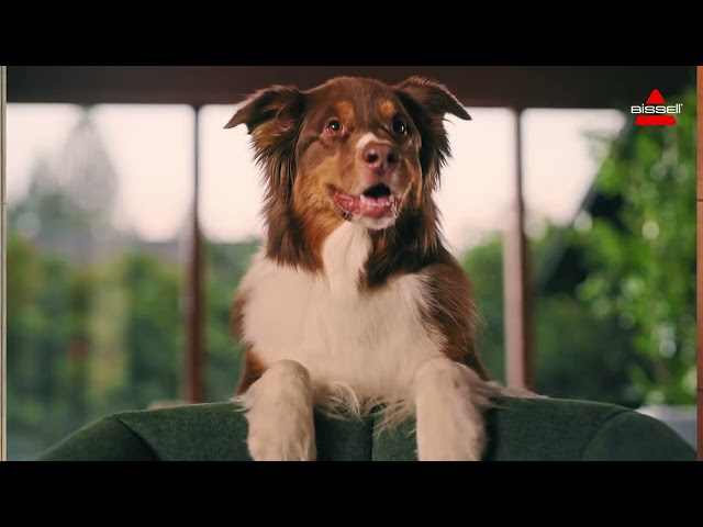 Aspirateur sans Fil Bissell CrossWave OmniForce EdgeFind Select 18AW 45min Réservoir 660ml Animaux video