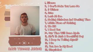 DAVE THOMAS JUNIOR PLAYLIST // PART 1 // HEALING SONGS 🦋