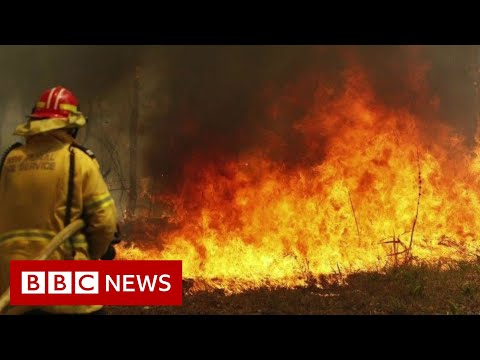 オーストラリアが火災。延焼を防ぐ - BBC ニュース (Australia fires: Preventing the spread - BBC News)