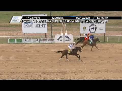 CARRERAS SINT MELO  211202 c01- 1° GRAN GUIÑADA