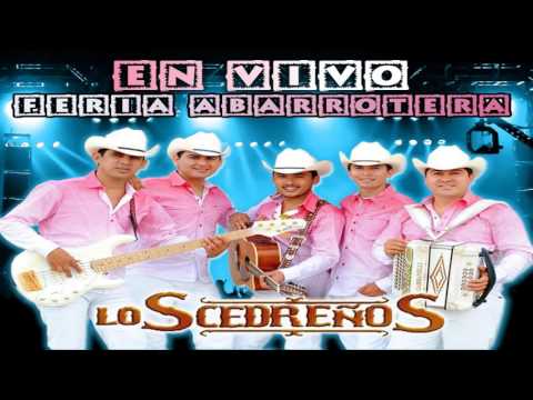 Popurri Mal Pensado - Los Cedreños (Album En Vivo 2016)