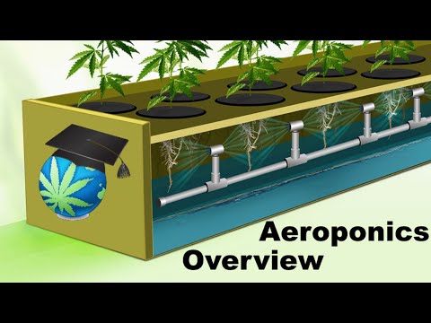 Aeroponics Overview - Setups, Advantages & Shortcomings For Cannabis Growers