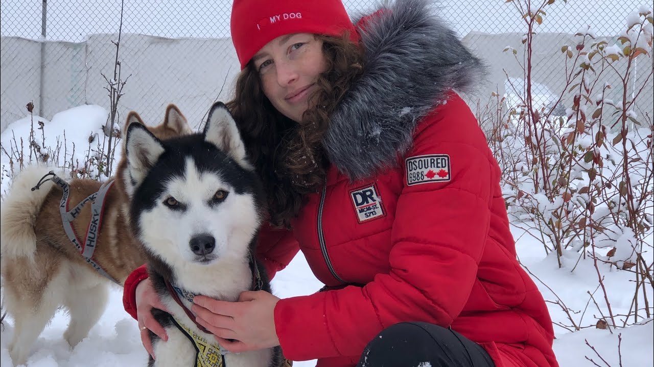 YouTube video preview