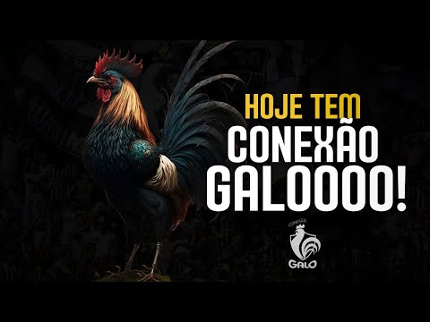 CONEXÃO GALO - CONSEGUIU SEU INGRESSO? - LIVE #03 @ForteVingador