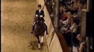 Video of Dimaggio