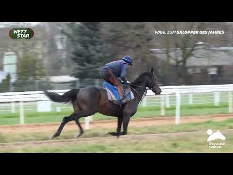 Galopper des Jahres Wahl Kandidat Nummer 3: Sammarco