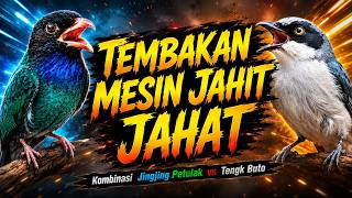 Download lagu TEMBAKAN MESIN JAHIT SERAM JINGJING PETULAK VS TENGKEK BUTO mp3 Download lagu TEMBAKAN MESIN JAHIT SERAM JINGJING PETULAK VS TENGKEK BUTO mp3