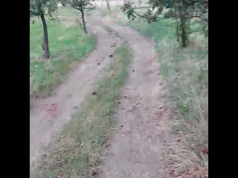 Turtaba Isverna Mehedinți