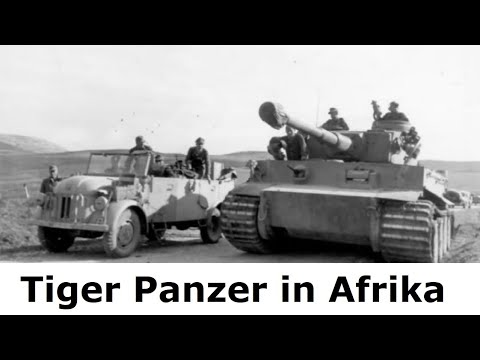 Tiger Panzer im Afrika Einsatz /sPzAbt 501 und sPzAbt 503