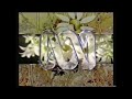 ABC Ident 1992 Flowers 720p