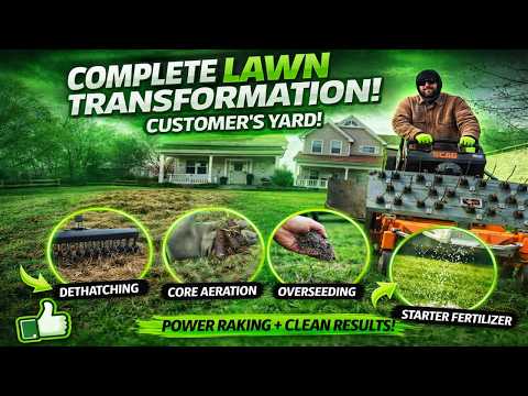 Lawn Dethatching, Core Aeration, Overseeding &amp; Fertilizer #lawncare