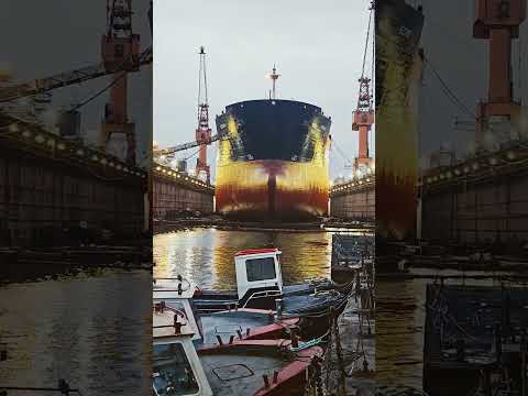 A day in the shipyard #ship #maritime #shipping #birds #sea #floating #dock #marine #vessel #water