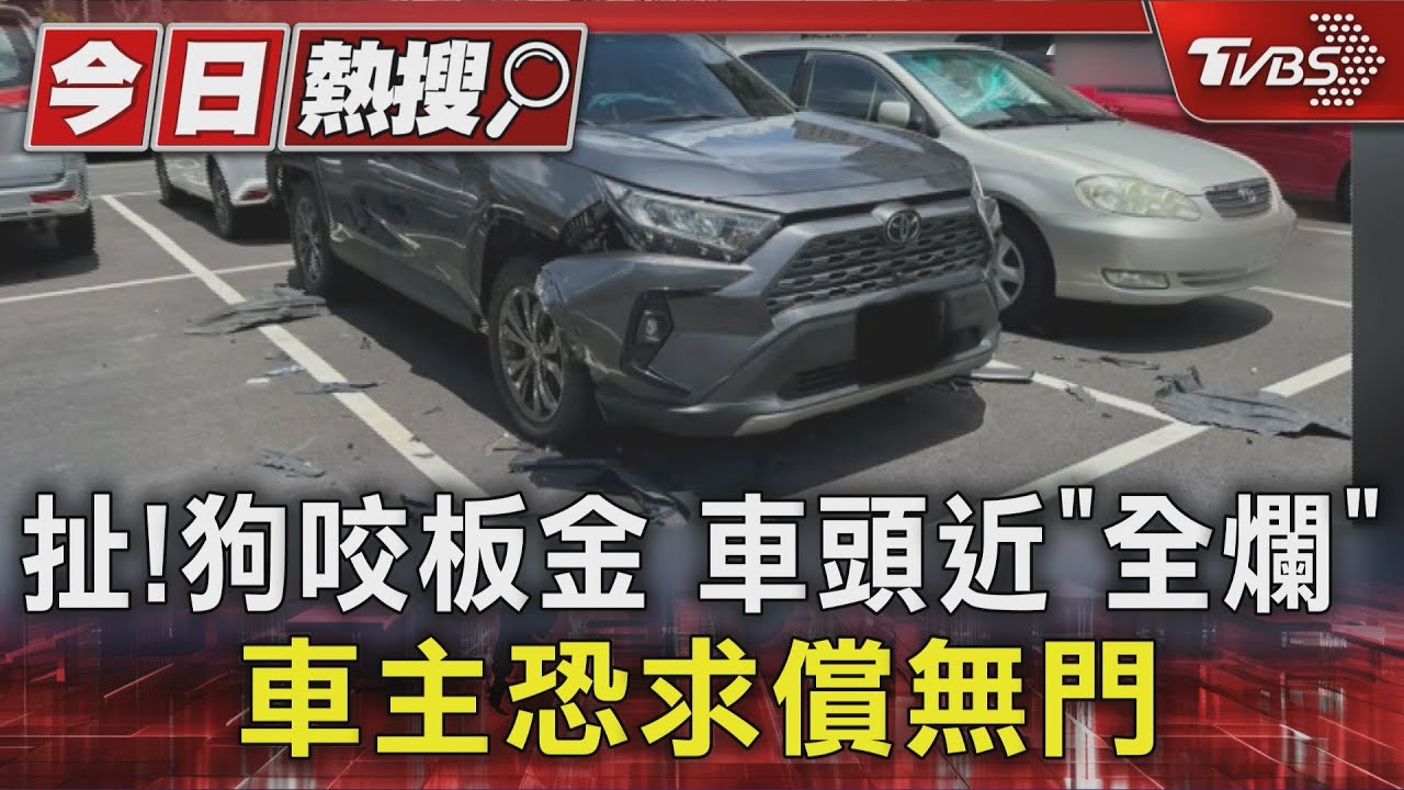 扯!狗咬汽車板金 車頭近「全毀」 車主恐求償無門