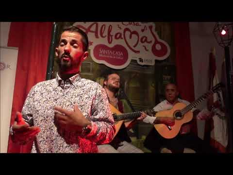Diogo Rocha - "Procura-me esta Noite"