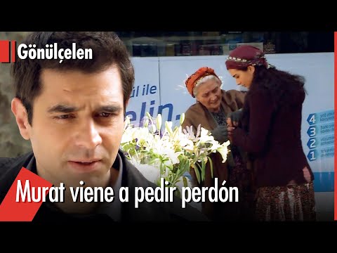 Murat pursues Hasret to beg forgiveness - Becoming a Lady | Gonulcelen