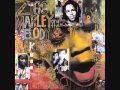 Ziggy Marley Love Is The Only Law