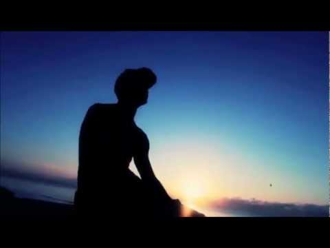 CHRIS BROWN DjPOLYRASTA - Should've kissed you