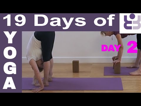 19 Days of Yoga - Day 2. Iyengar Yoga Sequence