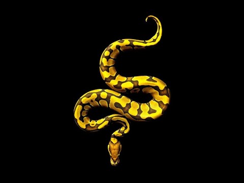 (FREE) Leto x Ninho type beat 2019 - Plavon Ft. PLK (Prod. Mousta) | MELODIC BANGER