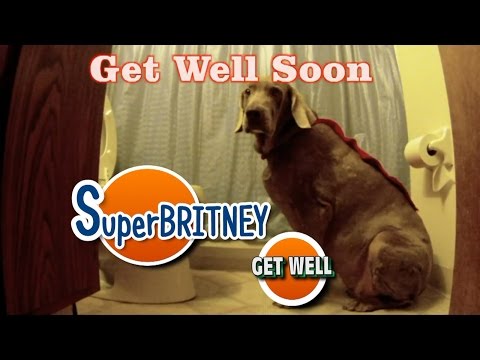 VIDEO GET WELL CARD WITH SUPER BRITNEY BEST VIDEO...