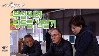 [나는농부다 238회] 부섭 씨의 땅두릅 선별기
