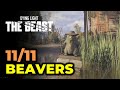 All 11 Castor Woods Beavers Location Dying Light The Beast