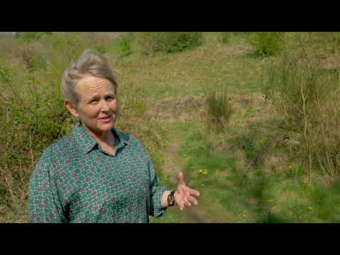 Heckmondwike Railway Cutting Campaign