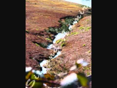 Sit and Admire - The 'natural forms' photographs available