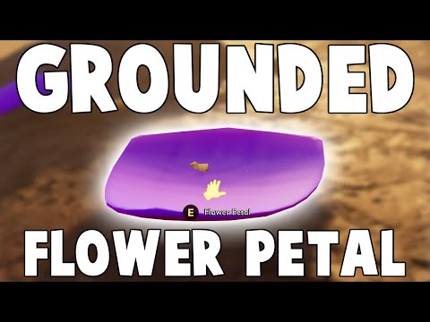 How to find FLOWER PETALS! (Grounded)