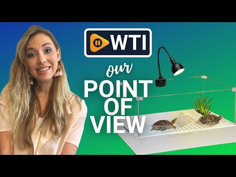 Hypool Glass Turtle Tank Starter Kits - WTI product video review