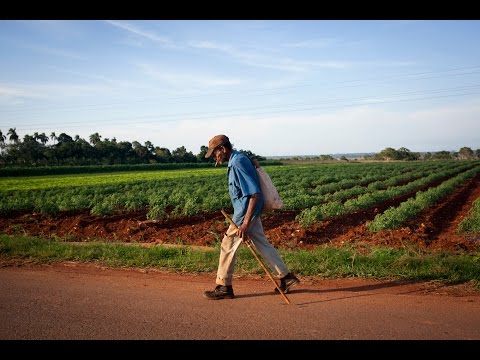 What Cuba can teach America about organic farming