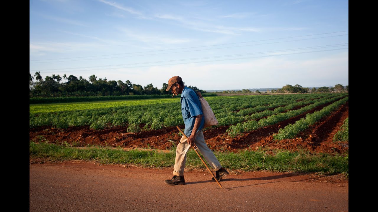 What Cuba can teach America about organic farming