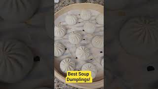We Tried Soup Dumplings By  Mila ! #food #foodie  #dumplings #chinese  #fun  #chicken  #easyrecipe