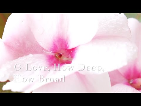148 SDA Hymn -   O Love, How Deep, How Broad (Singing w/ Lyrics)
