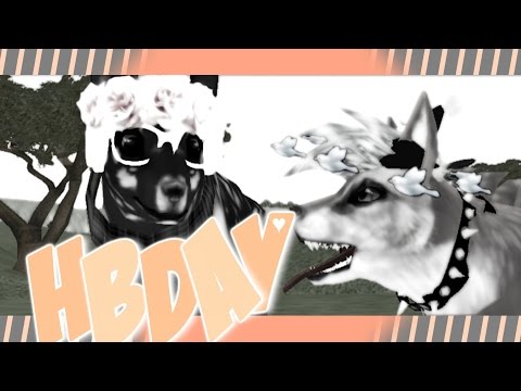 [FeralHeart] In my eyes | Happy Birthday Lilla!