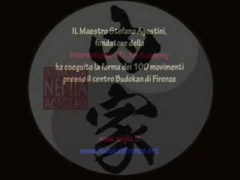 Tai Chi Chuan del Maestro Wang Shu Chin