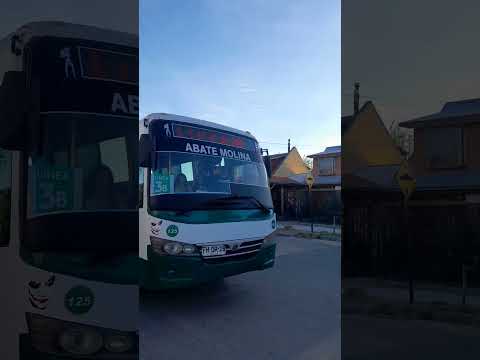 Metalpar Maule (💎125💎)Abate Molina Me Saluda [Linea 3B]