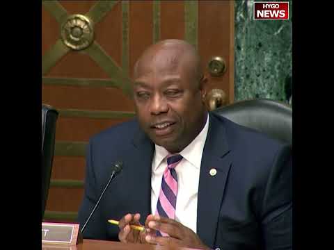 Senator: Why are late fees okay for IRS but not okay for businesses? Civil Investigative Demand CID