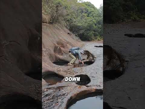 This Puddle is a Trap.