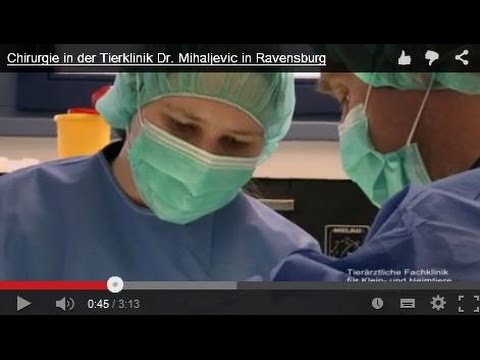 Chirurgie in der Tierklinik Dr. Mihaljevic in Ravensburg