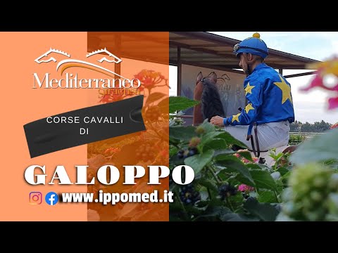 Corse cavalli di Galoppo del 19 Marzo 2022