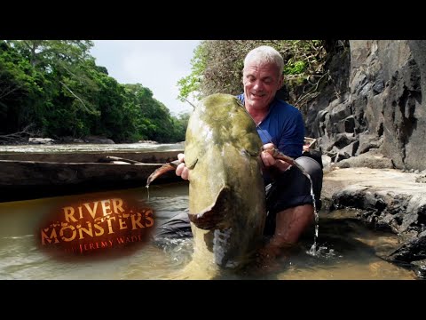 Monstrous Catfish Found In Guyana | SPECIAL EPISODE | River Monsters