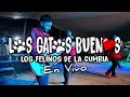 Los Gatos Buenos - Duele / Mariposa Del Dolor