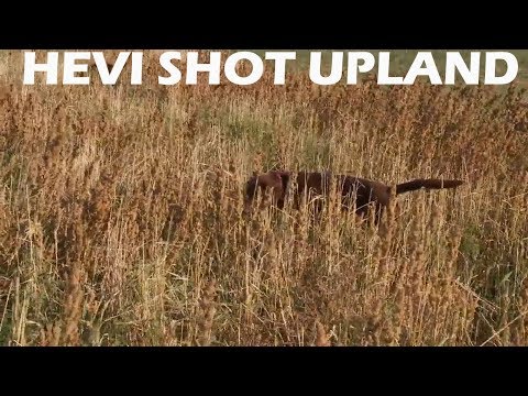HEVI SHOT Upland Load, Shot Size and Upland Hunt