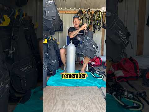 How To Set Up Your Dive Gear Correct! 😎🤿🕺🏻#shorts