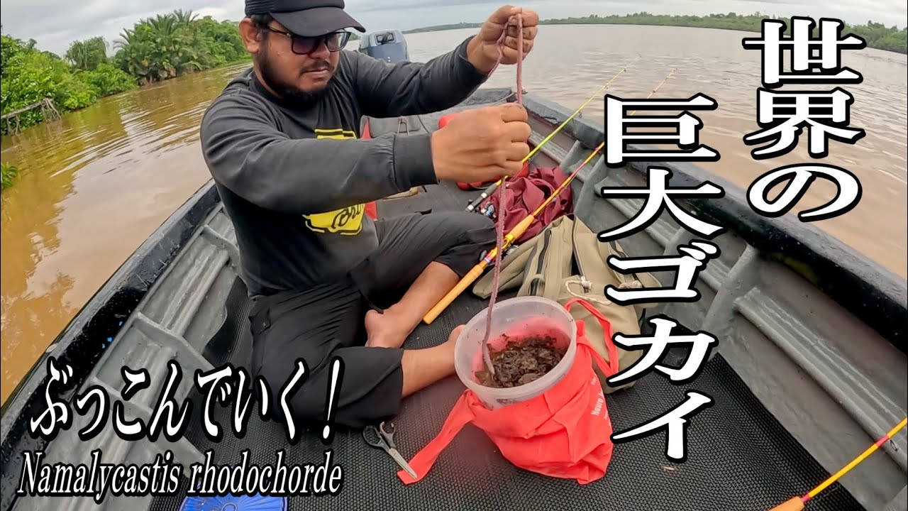 切っても、刺しても、動き続ける生命力オバケな巨大ゴカイでブッコミ釣りした結果……。