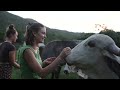 Krishna Village 6 Week Full Immersion Yoga Teacher Training