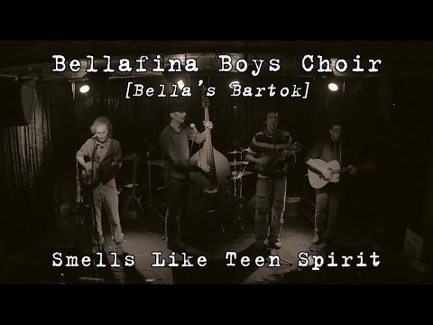Bellafina Boys Choir (Bella's Bartok): Smells Like Teen Spirit [4K] 2015-11-05 - New Haven, CT