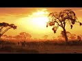 Peter Gabriel - Cloudless (2002)