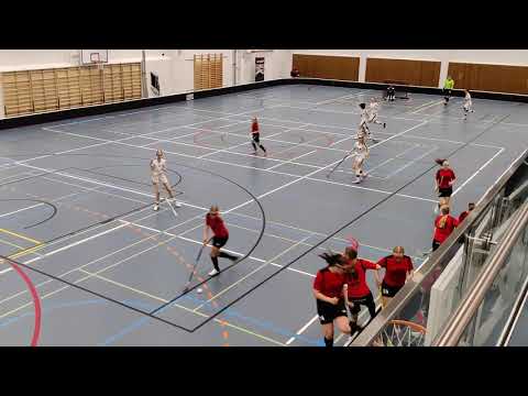 BTSM Häme Stars - EräViikingit 30.10.2020